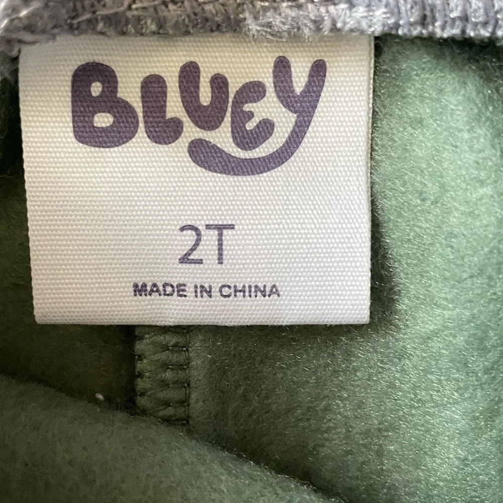 #364, Bluey toddler green hoodie and jogging pant set, size 2T